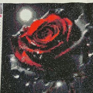 Red and Black Rose Diamond Painting Kit